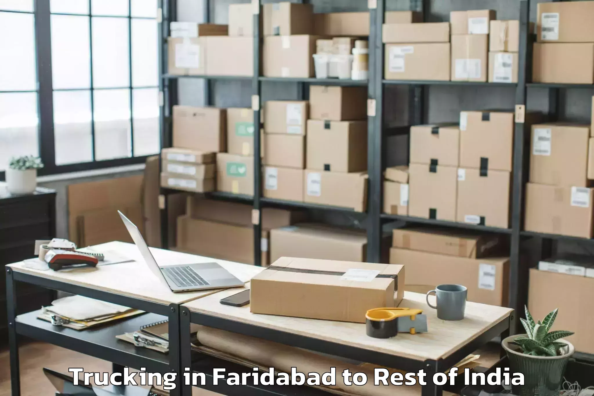 Leading Faridabad to Weepangandla Trucking Provider